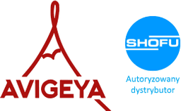 Logo Avigeya Sp. z o.o.