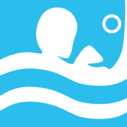 Logo Streams Polska Sp. z o.o.