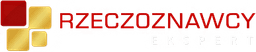 Logo Rzeczoznawcy Techniki Samochodowej i Ruchu Drogowego Ekspert Sp. z o.o.