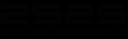 Logo 2S2S Sp. z o.o.