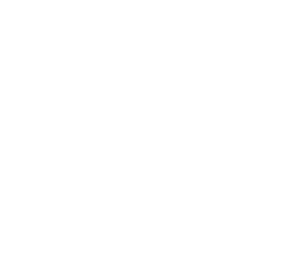 Logo Domin Kraków Pracownia Rysunku Sp. z o.o.