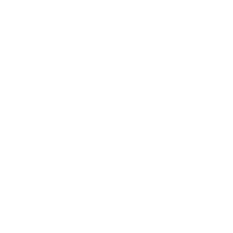 Logo New Tech Venture S.A.