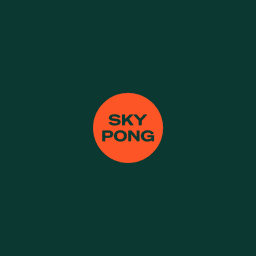 Logo Skypong Sp. z o.o.