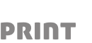 Logo Lemon Print Sp. z o.o. w likwidacji