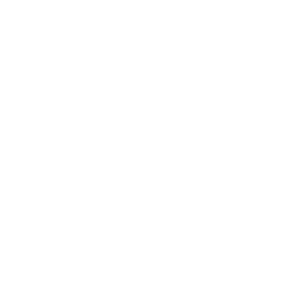 Logo Prywatne Szkoły Leonarda Piwoni Sp. z o.o.