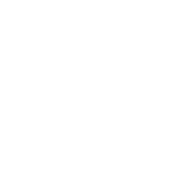 Logo Ness Services Sp. z o.o.
