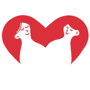 Logo Fundacja Akcja Menstruacja