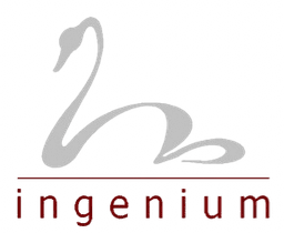 Logo Ingenium Polska Sp. z o.o.
