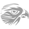 Logo Falcon Service Sp. z o.o.