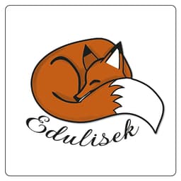 Logo Edulisek Sp. z o.o.